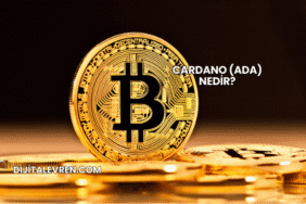 Cardano (ADA) Nedir?