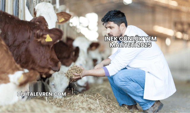 İnek Günlük Yem Maliyeti 2025