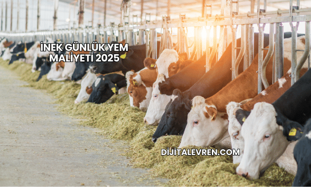 İnek Günlük Yem Maliyeti 2025