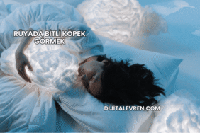 Rüyada Bitli Köpek Görmek