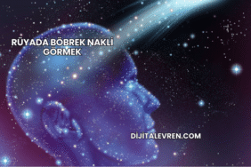 Rüyada Böbrek Nakli Görmek