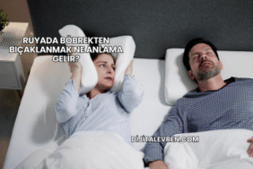 Rüyada Böbrekten Bıçaklanmak Ne Anlama Gelir?