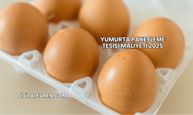 Yumurta Paketleme Tesisi Maliyeti 2025