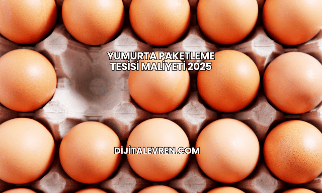 Yumurta Paketleme Tesisi Maliyeti 2025
