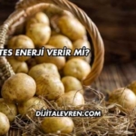 Patates Enerji Verir mi?